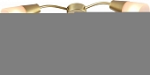 Потолочная люстра  01266-0.3-03B GOLD 