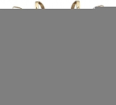 Бра Trevi TREVI AP2 BRASS 