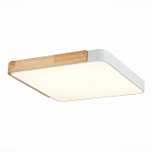 Потолочный светильник Festa SLE201252-01 