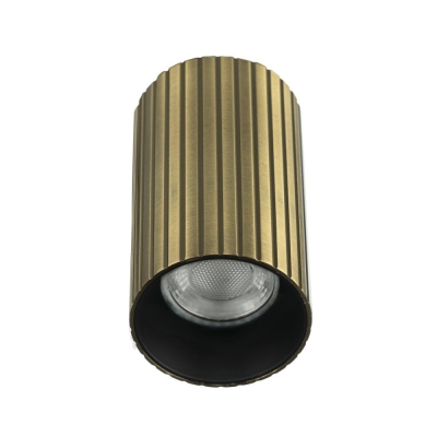 Точечный светильник Axel CL512113R