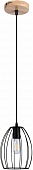 Подвесной светильник  IL1011-1P-05 BK 