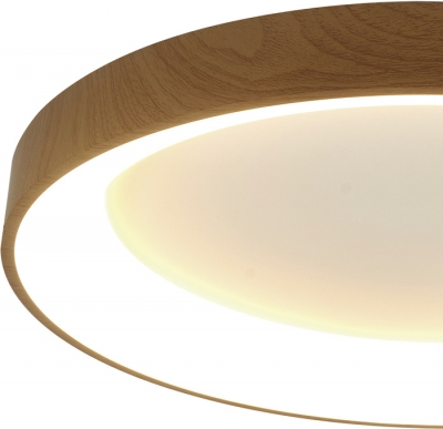 Потолочный светильник Niseko 8644