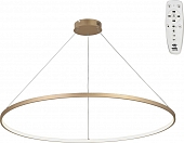 Подвесной светильник  V2514DT-8/1S 