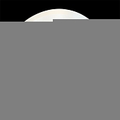 Точечный светильник  16014-9.0-001PL MR16 (2 