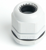 Сальник  49381 