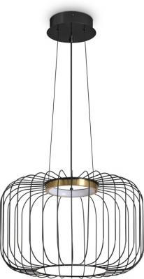 Подвесной светильник Citrus FR5398PL-L8B