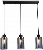 Подвесной светильник TRADITIONAL TR3698 