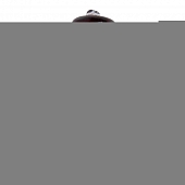 Лампочка инфракрасная  JCD-IR-60/G9 