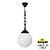 Уличный светильник подвесной Globe 250 G25.120.000.AYE27 