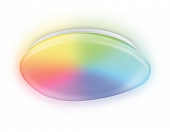 Потолочный светильник Orbital FZ1610 