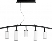 Подвесной светильник Rullo LR735363862 