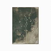 Постер  151716E 