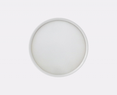Потолочный светильник  IT011-5022 white