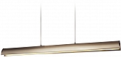 Подвесной светильник Tunnel MD13003038-1A 