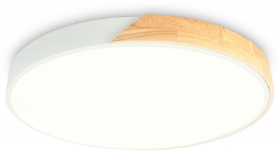 Потолочный светильник ORBITAL FZ1300