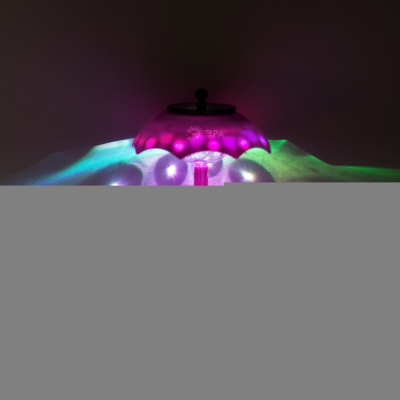 Грунтовый светильник  ERASF22-53