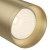 Спот Focus C017CW-01MG Спот Focus C017CW-01MG