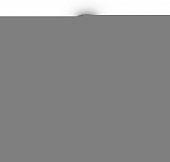 Потолочная люстра Savia FR5203PL-10CH1 