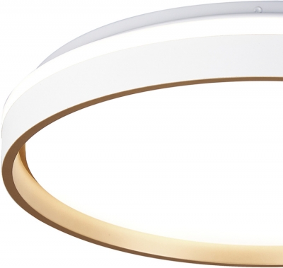 Потолочный светильник Verona 9026