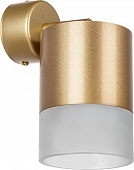 Спот Rullo RBX349081 