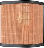 Настенный светильник  568-701-01 