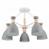 Потолочная люстра Delia FR5033CL-05W 