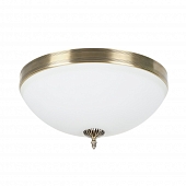 Потолочный светильник Biene MR1528-4C 