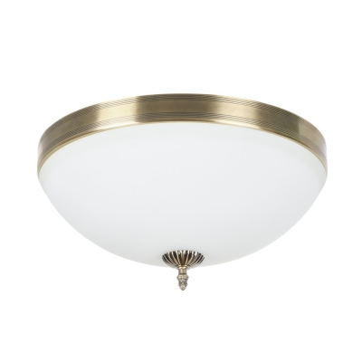 Потолочный светильник Biene MR1528-4C
