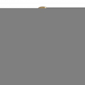 Подвесной светильник Sylvia FR2056PL-01BR 