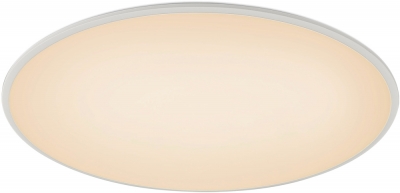 Потолочный светильник Slim 7975