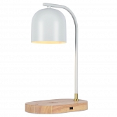 Интерьерная настольная лампа Desklight ZRS.1066.02 