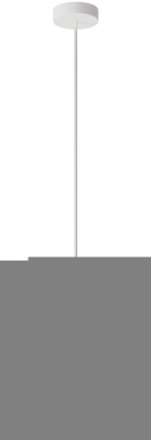 Подвесной светильник Toys MOD405PL-01W