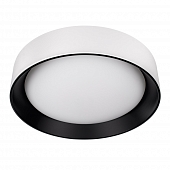 Потолочный светильник Coin 10202 WB 