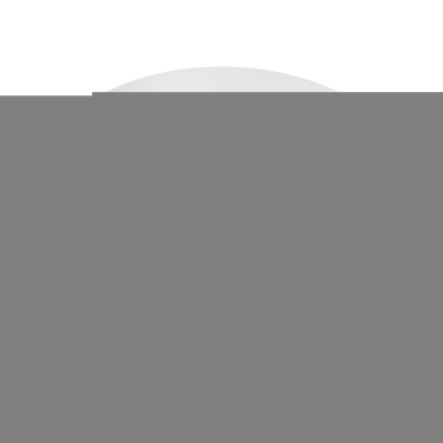 Потолочный светильник Coin 10202 WB