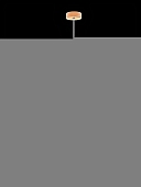 Подвесная люстра Princess MZ733137-290B 