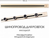 Электроустановочный шинопровод Am-track-sockets 385201TOB/100 Gold 