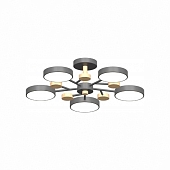 Потолочная люстра LED4U L3204-620 GR 