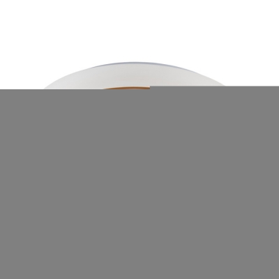 Потолочный светильник Rhea MR9161-CL