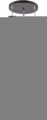 Подвесной светильник  05020-0.4-03 CH