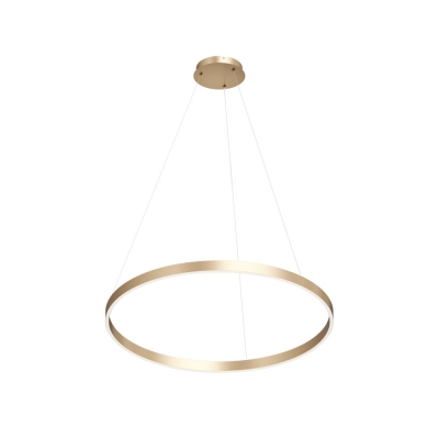 Подвесной светильник RAYDIA DK6272-SG