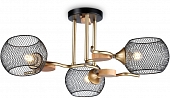 Потолочная люстра TRADITIONAL TR80164 