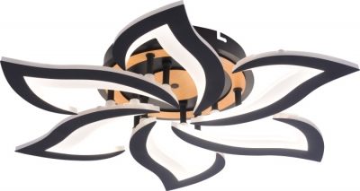 Потолочная люстра Cassandra 6194-733