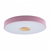 Потолочный светильник Axel 10003/24 Pink 