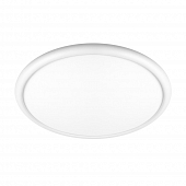 Потолочный светильник Sweety 10454/500 White 