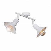 Спот  V4807-0/2PL 