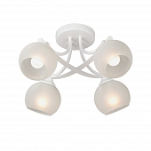 Потолочная люстра  V2564-0/4PL 