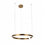 Подвесной светильник Ring 10013L 