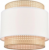 Потолочный светильник  565-717-01 