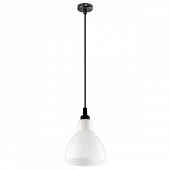 Подвесная люстра Loft 865017 