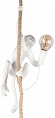 Подвесной светильник Monkey 10314P 